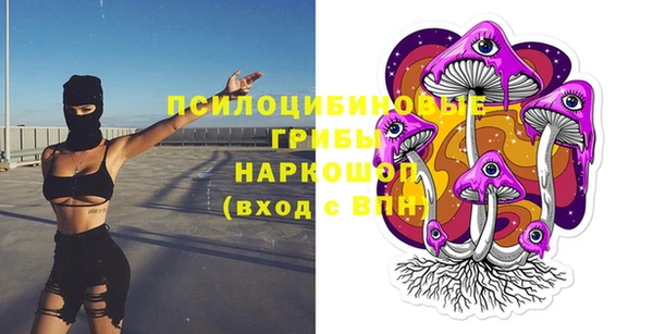 прущие крисы Мегион