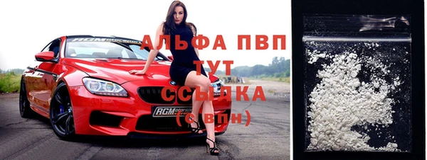 молекула духа Михайлов