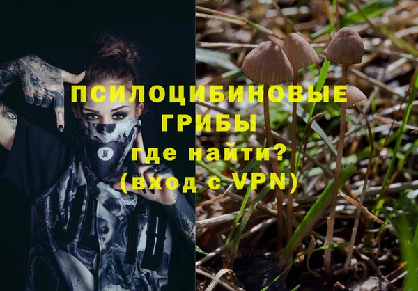 ALPHA-PVP Медвежьегорск