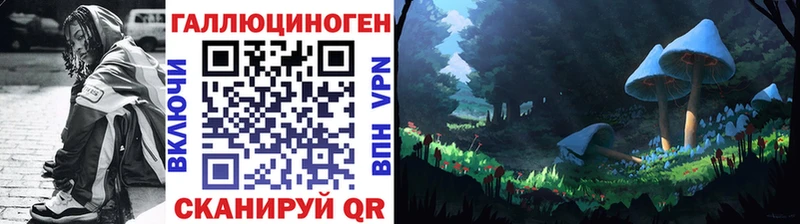 Купить  Белоозёрский  Псилоцибиновые грибы Psilocybe 